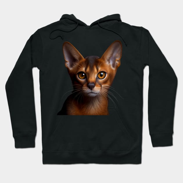 Abyssinian Cat - A Cute Gift Idea For All Cat Lovers And Cat Moms Hoodie by PD-Store